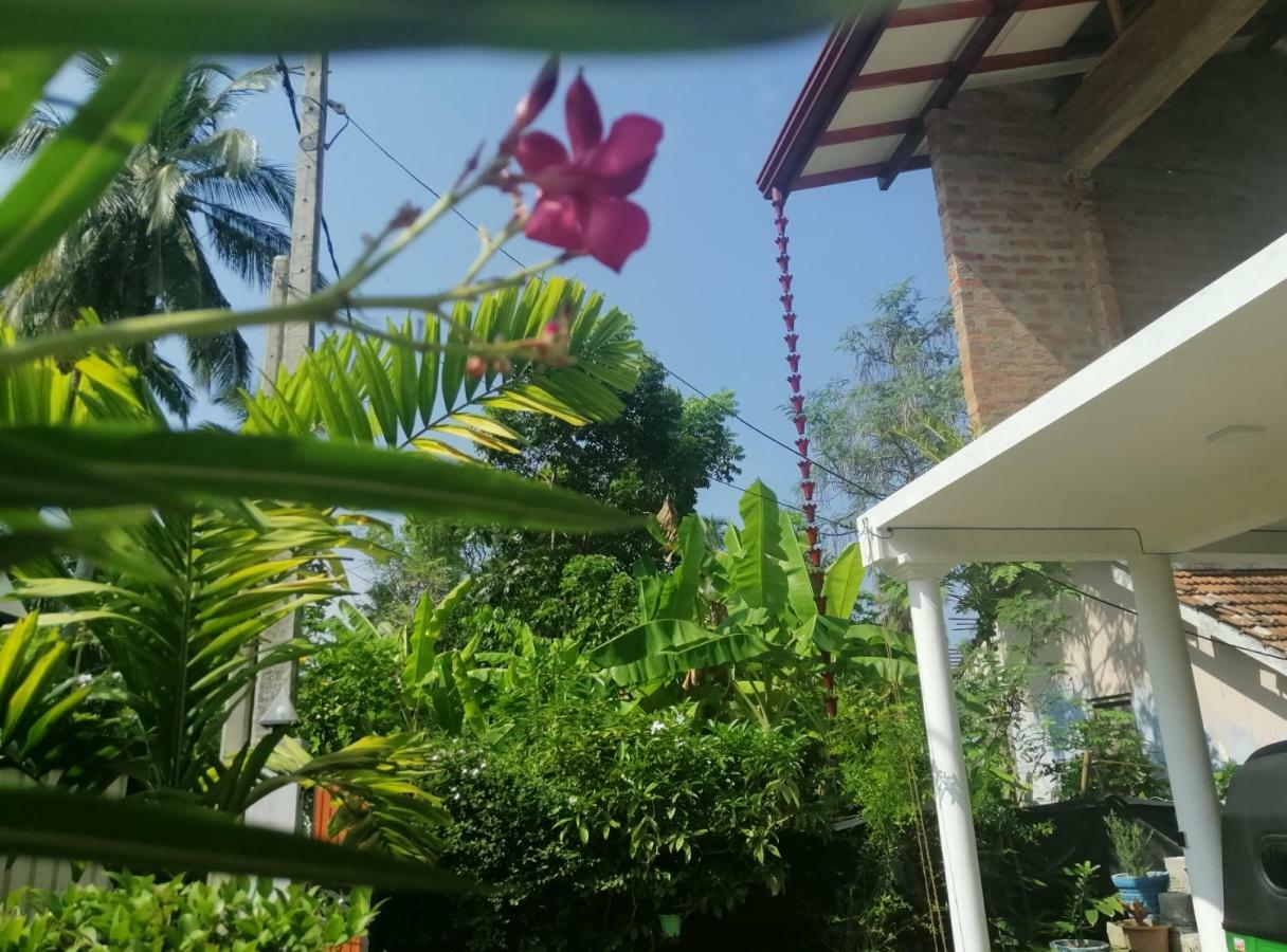 Flip Flop Inn Mirissa Bagian luar foto